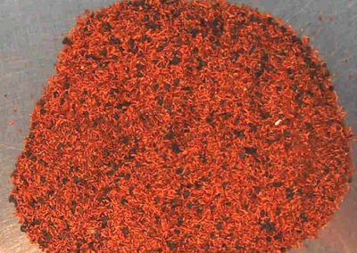 E. globulus seed and chaff